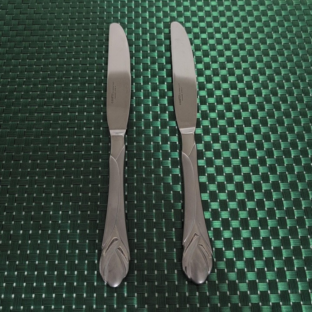 Hampton Silversmiths LILY FROSTED Dinner Knives Set of 2 Stainless China
